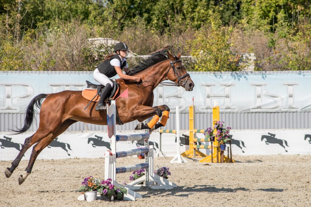 an-equestrian-in-action-10932276 An Equestrian in Action